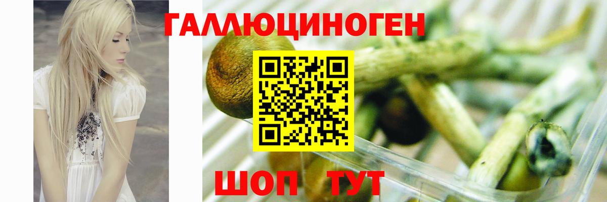 Псилоцибиновые грибы MAGIC MUSHROOMS  что такое наркотик  Краснокамск  Галлюциногенные грибы GOLDEN TEACHER  Вход с VPN 